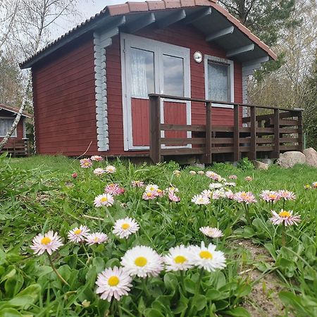 Paeevatalu Camping Otel Vilusi Dış mekan fotoğraf