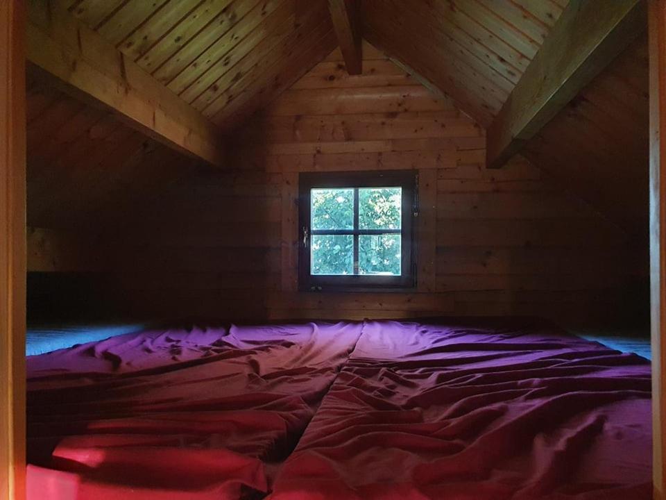 Paeevatalu Camping Otel Vilusi Dış mekan fotoğraf