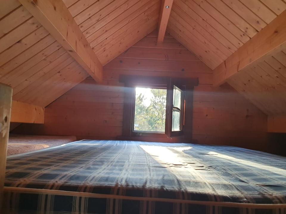 Paeevatalu Camping Otel Vilusi Dış mekan fotoğraf