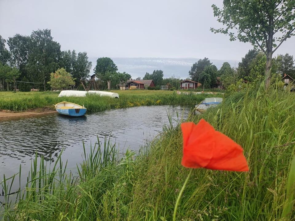 Paeevatalu Camping Otel Vilusi Dış mekan fotoğraf