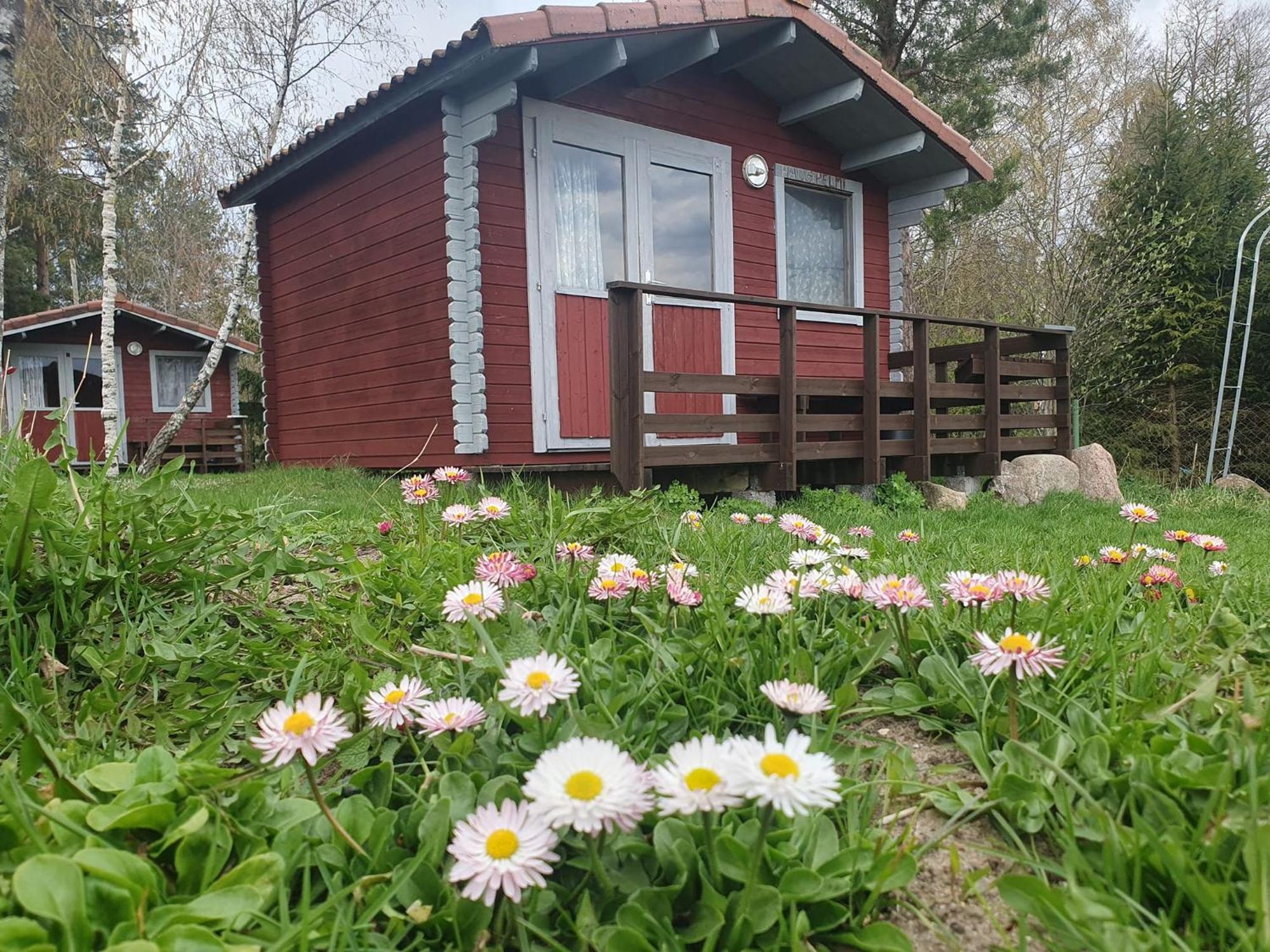 Paeevatalu Camping Otel Vilusi Dış mekan fotoğraf