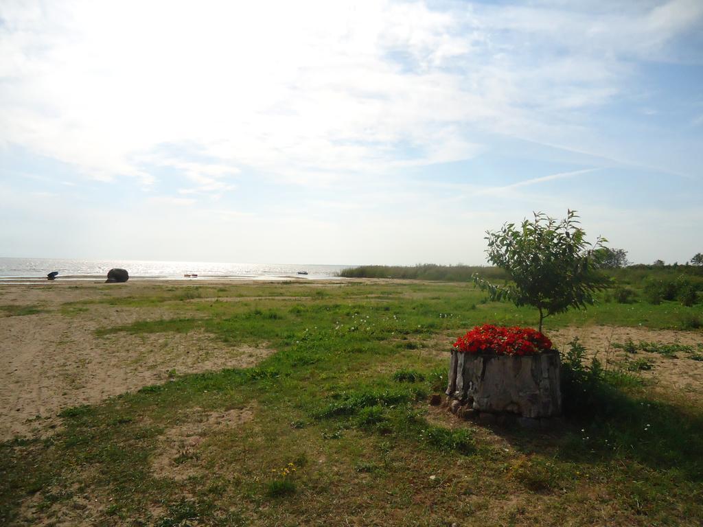 Paeevatalu Camping Otel Vilusi Dış mekan fotoğraf